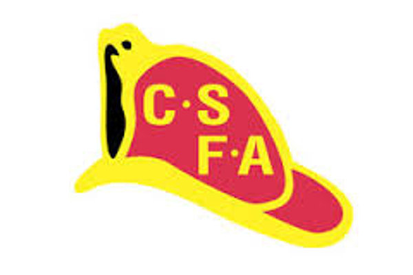 California State Firefighters Association