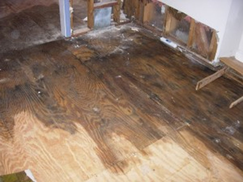 Water and mold damaged subfloor being restored