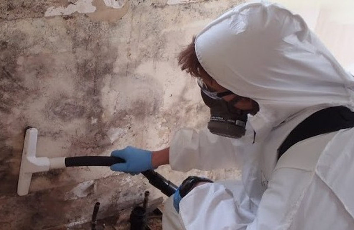 Mold remediation on interior framing