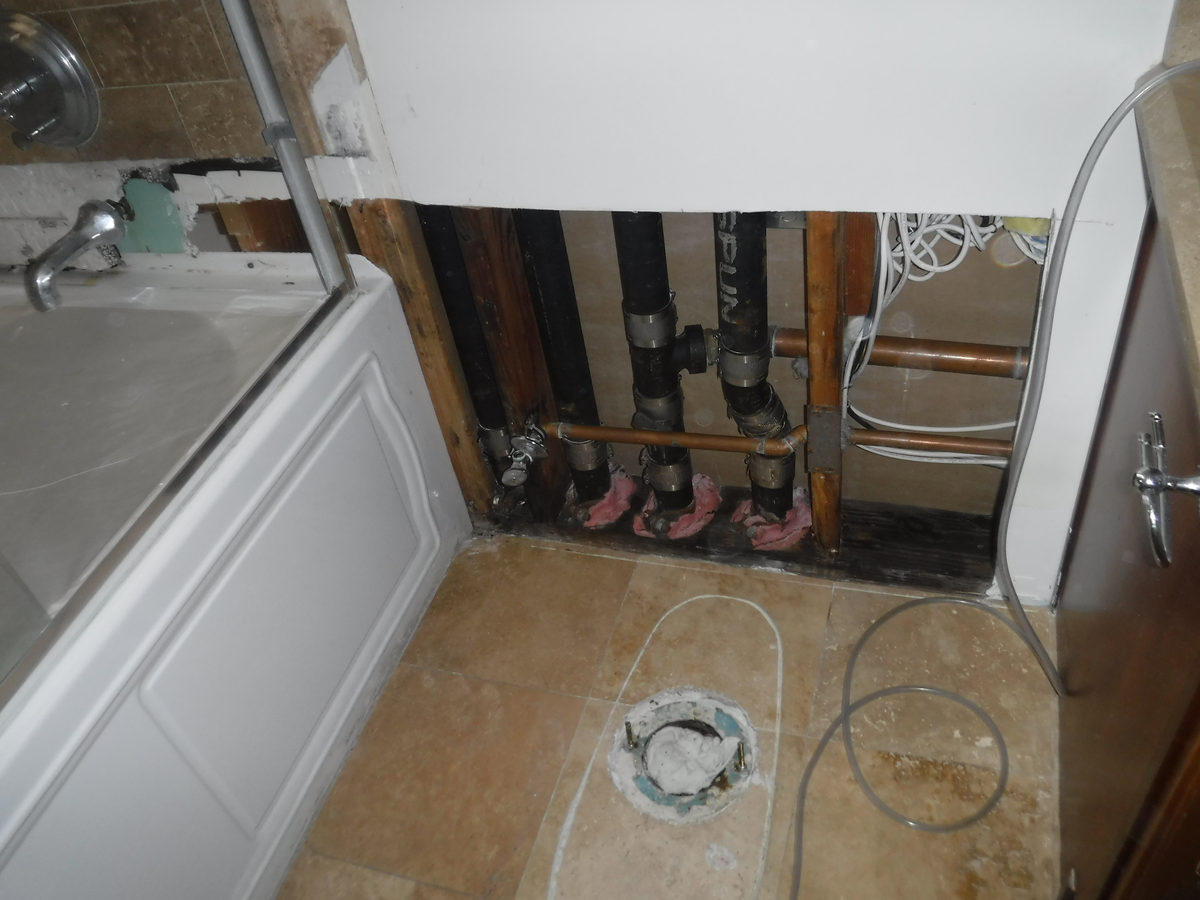 Mold removal