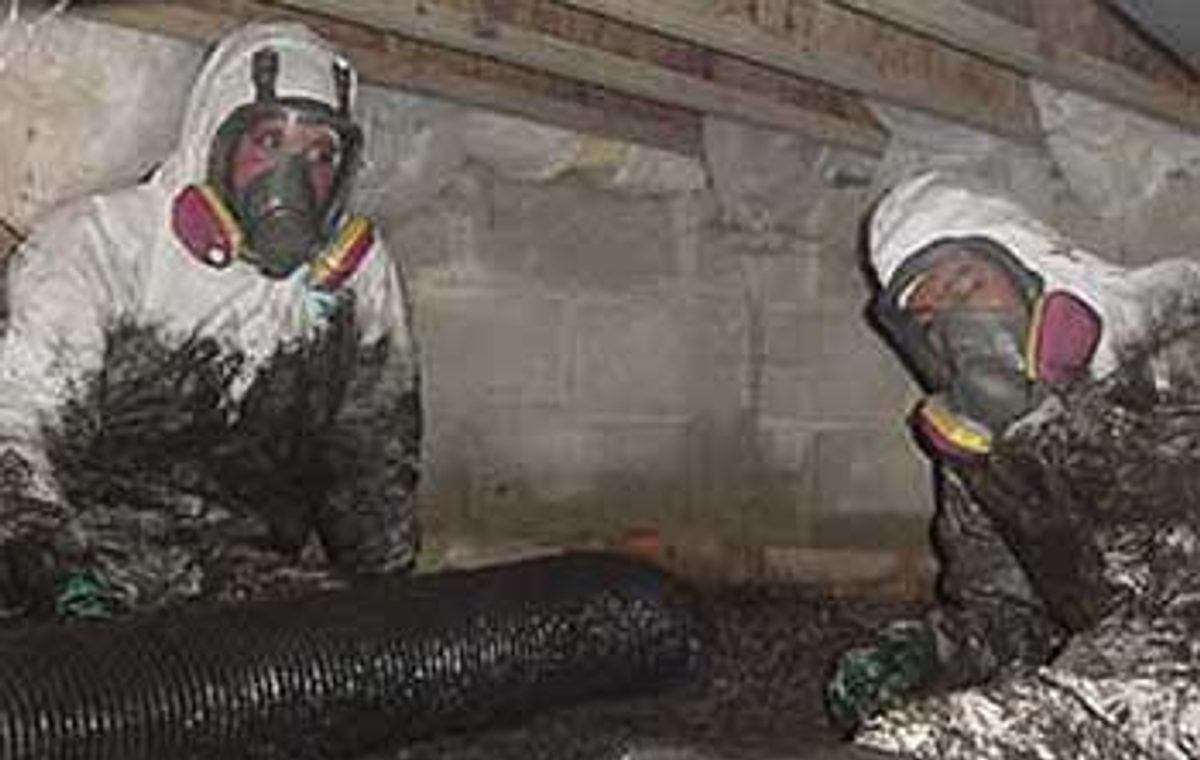 Sewage clean up by certified crew