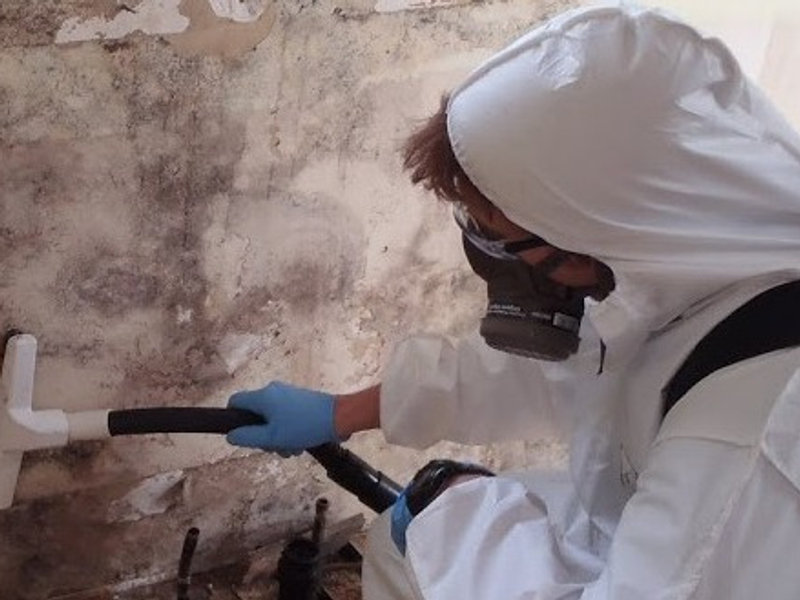 Mold remediation on interior framing