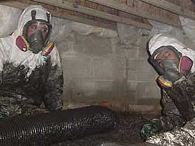 Certified crew decontaminating a crawlspace